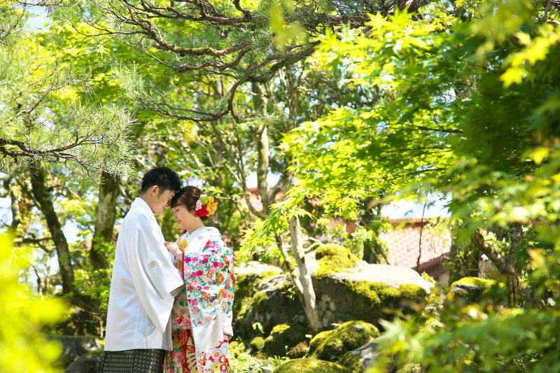 緑が美しい