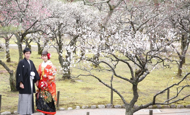 3月になると兼六園の梅林が見れます