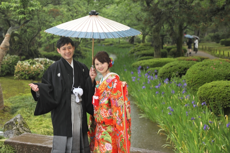 曲水のカキツバタ