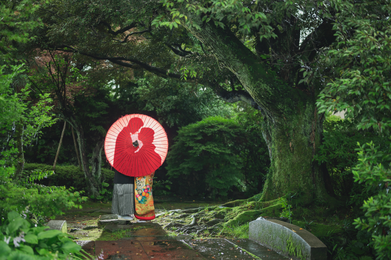 雨でも安心