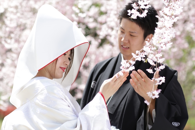 桜が綺麗でした