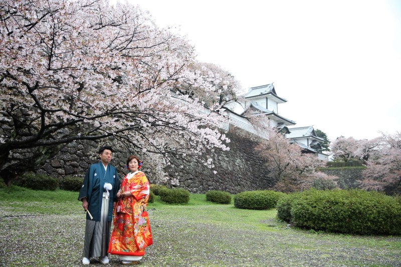 桜ロケーション撮影