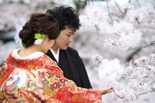 金沢桜ロケーション撮影