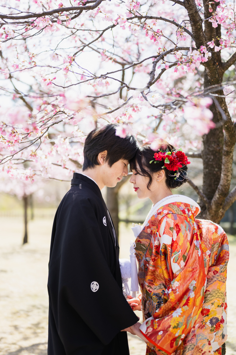ピンクの桜