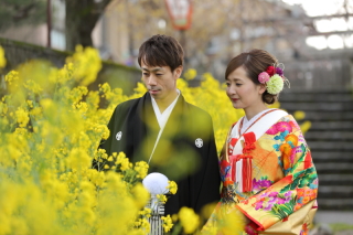 金沢の桜は2分咲き