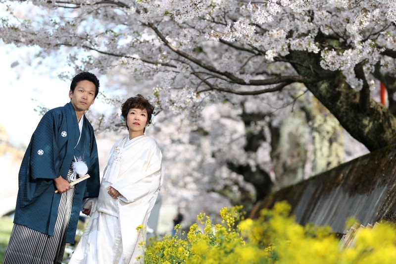 ニュージーランドから帰国して