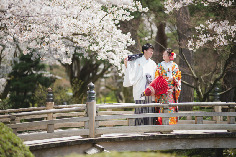 橋と桜