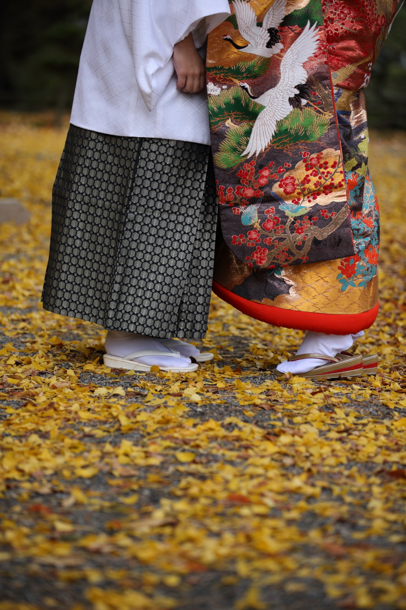 上も紅葉下も紅葉