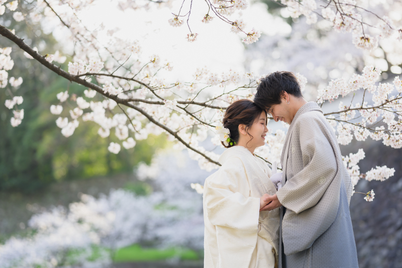 向き合い