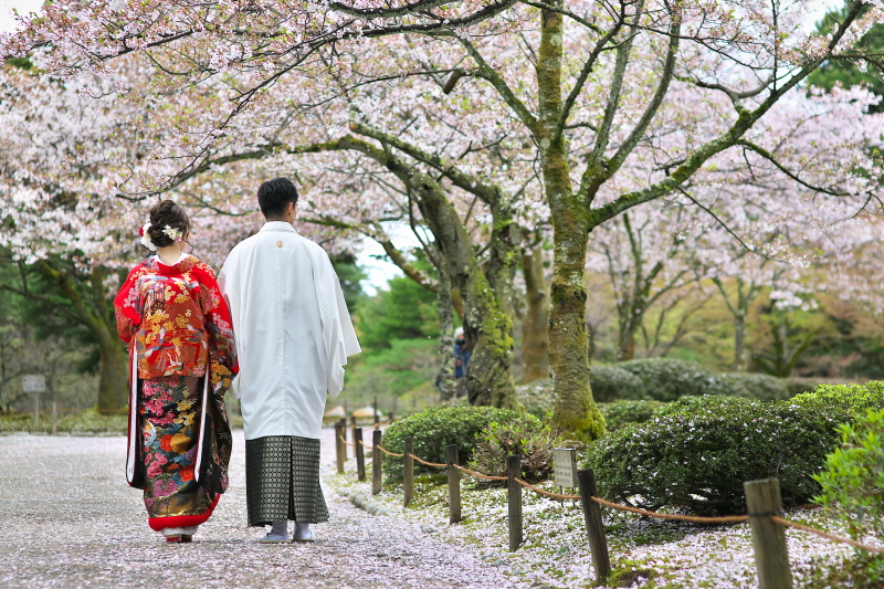 桜の小径