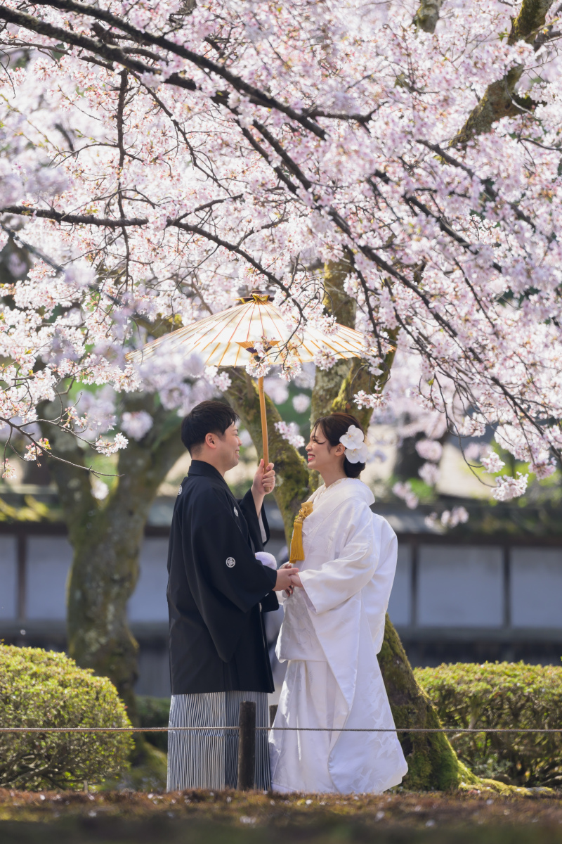 向き合い