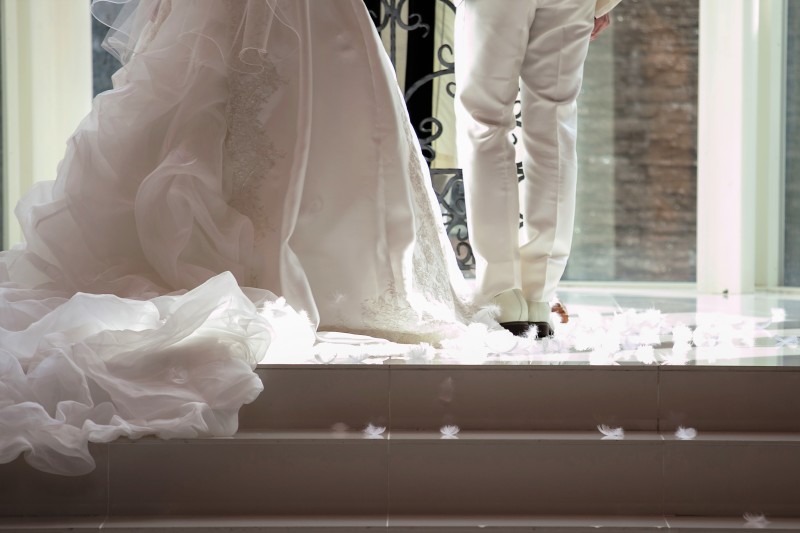 上から羽が降ってきます