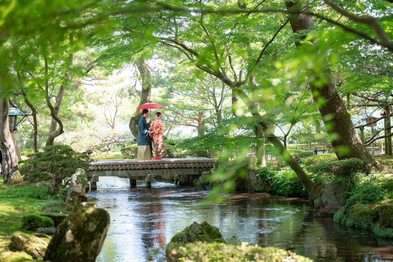 緑が綺麗