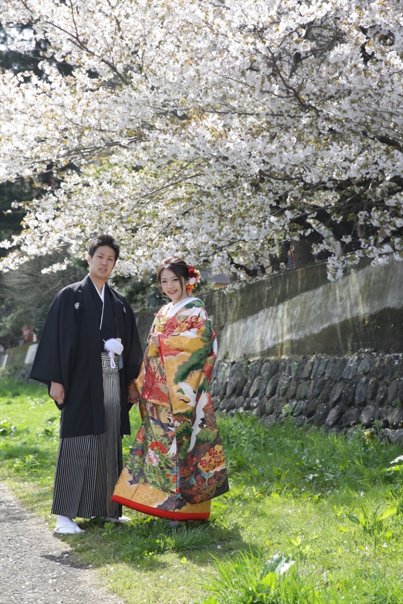 1本咲いている桜がありました