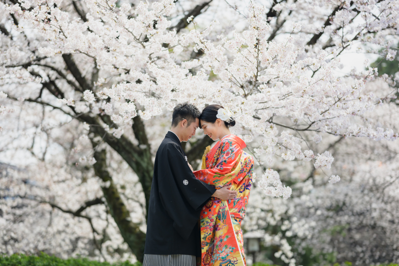 満開の桜