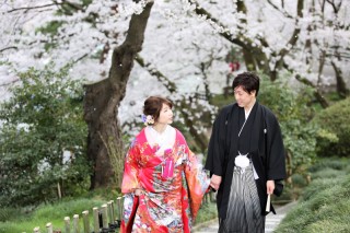 金沢桜ロケーション撮影