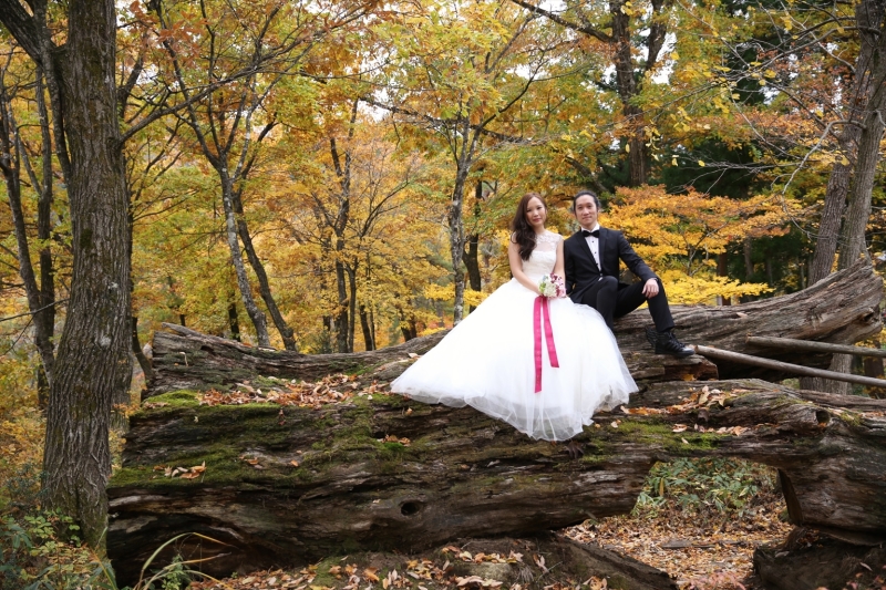 白川郷まで行ってきたよ～