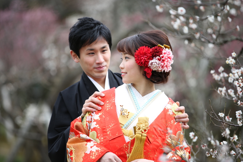 兼六園の梅林が綺麗でした