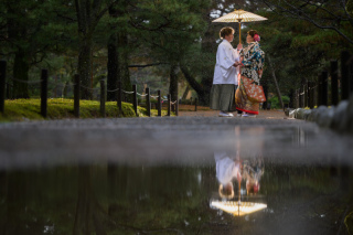 小雨の兼六園しっとり撮影
