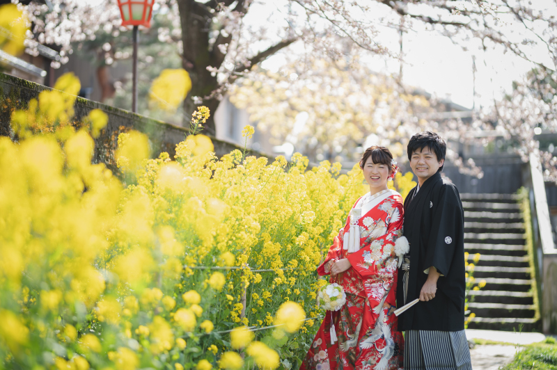 菜の花