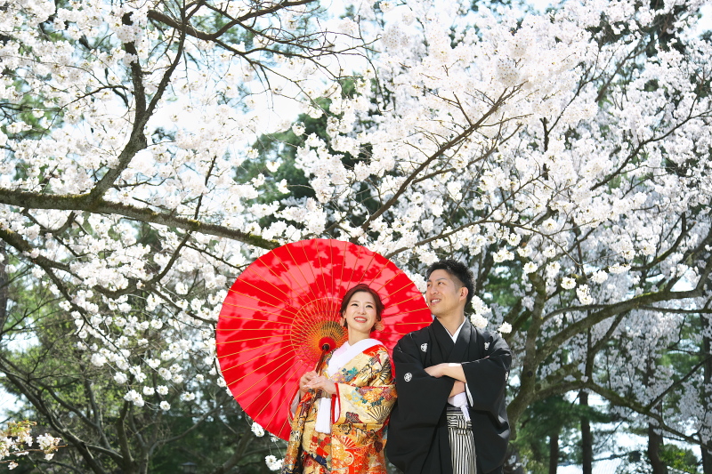 満開の桜