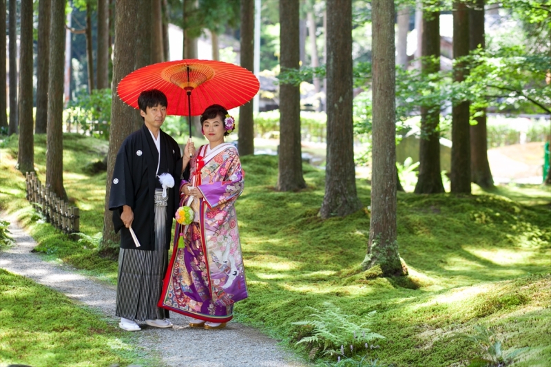 苔が好きな人には最適です