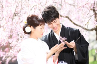 金沢の桜はまだまだありますよ～～