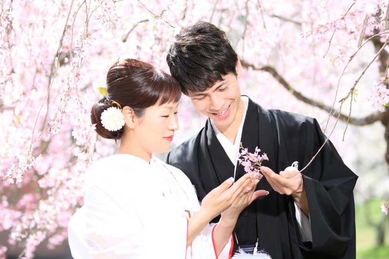 金沢の桜はまだまだありますよ～～