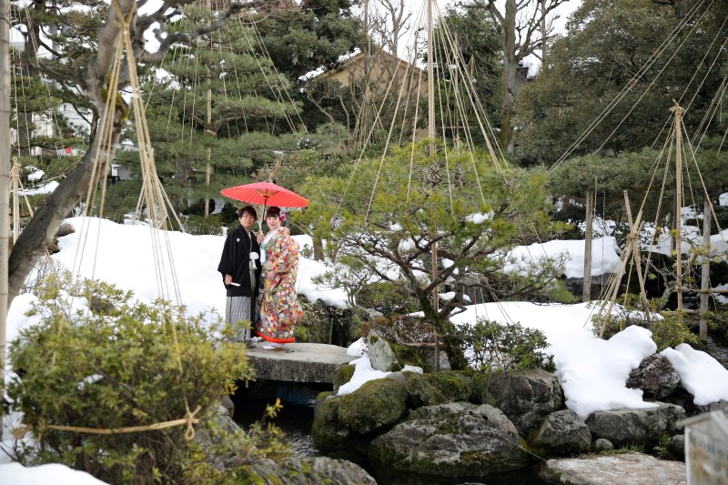 雪が融けてきました