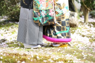 金沢　桜ロケーション撮影