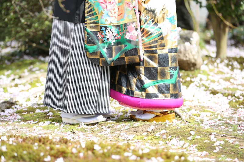 金沢　桜ロケーション撮影