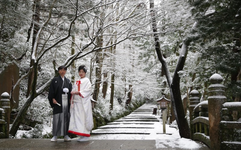 雪が綺麗な日でした