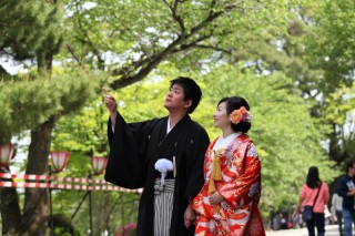 新緑が綺麗な季節