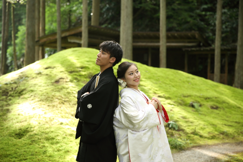 苔の里　日用町