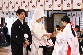 神社結婚式と撮影そして食事会もセットでリーズナブル