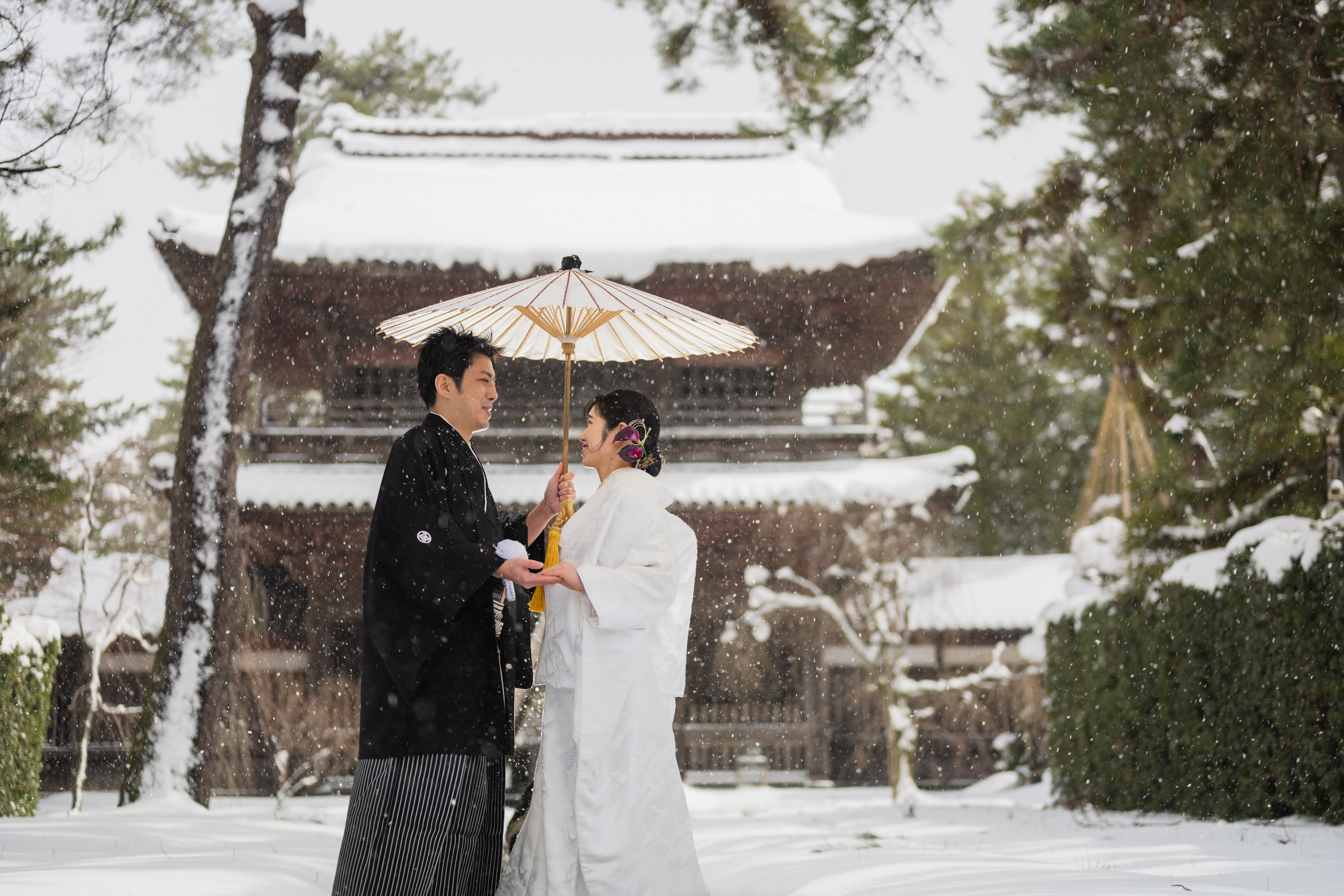 step1 事前来店・お問合せ