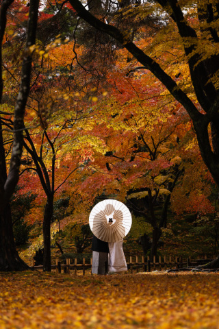 アート工房_紅葉の兼六園