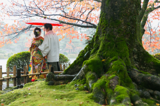 雨の中しっとりと♪