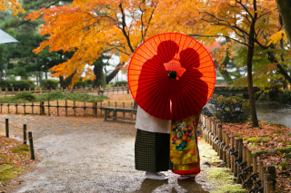 ロマンチックなシルエット写真♪