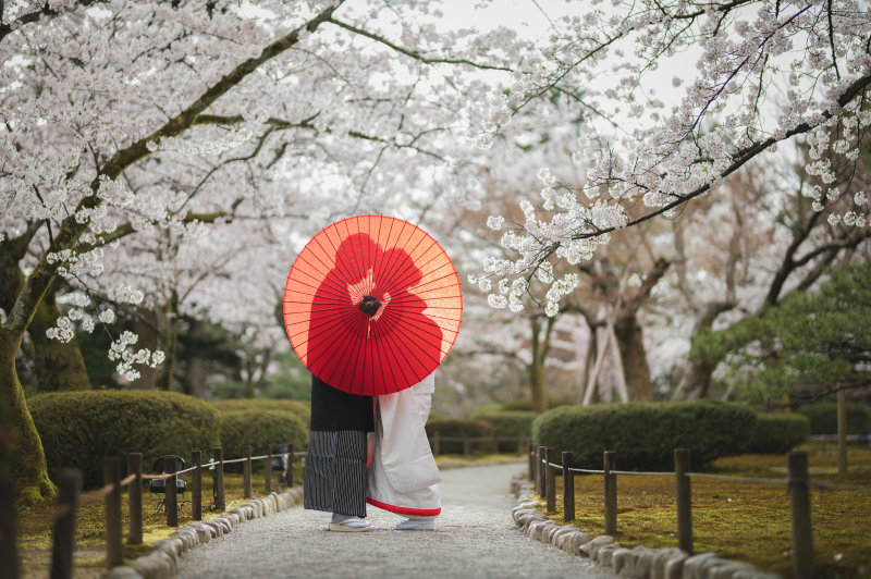 【桜限定ロケーションプラン】兼六園を廻る桜ロケのイチオシの、お得プランです