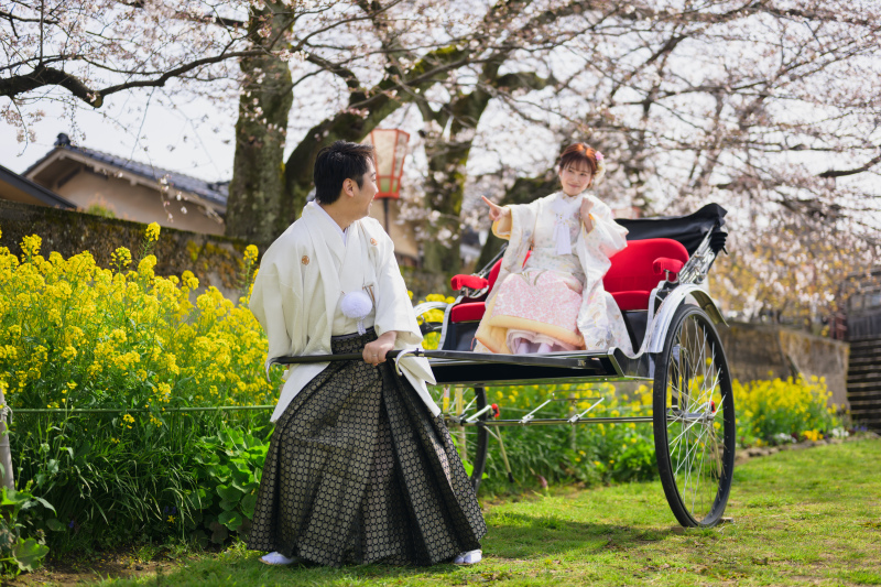 【桜限定ロケーションプラン】ひがし茶屋街と浅野川桜並木を廻るこの時期限定プランで人力車移動もセットされています