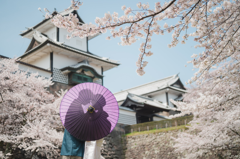 【桜限定ロケーションプラン】ひがし茶屋街と桜の名所百間掘緑地と兼六園と浅野川の桜ロケーション撮影。桜満喫の欲張りプランです！