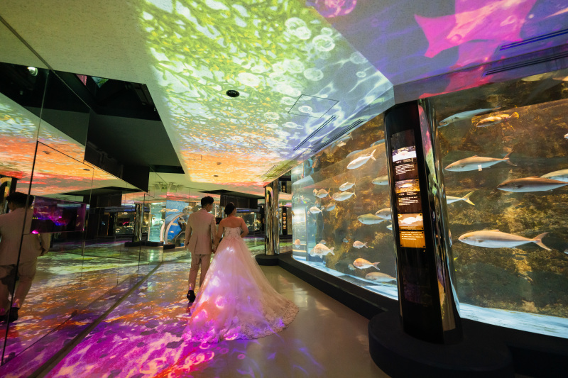 【レギュラープラン】のとじま水族館撮影プラン