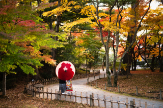 【紅葉プラン】和装２点。金沢の紅葉の名所兼六園＋天徳院２着２か所撮影プラン。８月末迄予約の方に早期予約特典有！
