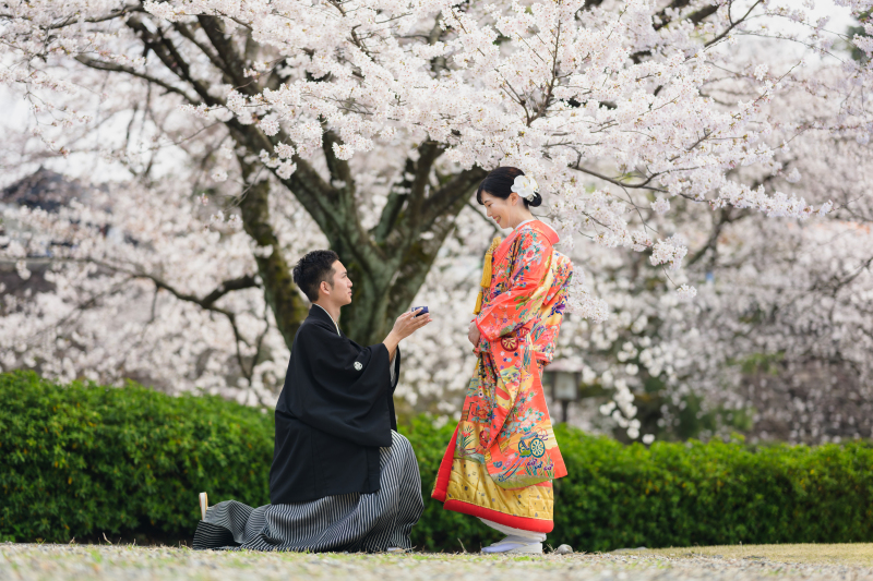 【桜限定ロケーションプラン】兼六園を廻る桜ロケのイチオシの、お得プランです