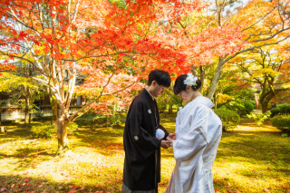 【紅葉プラン】和装1点・隠れた紅葉の名所「天徳院」撮影プラン。境内と和室撮影が可能な撮影スポットが多い当社一押しスポット！