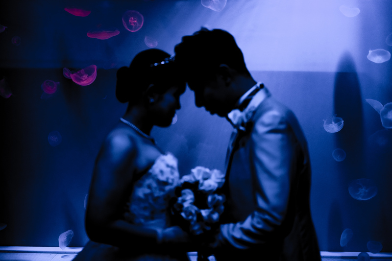 【レギュラープラン】のとじま水族館撮影プラン