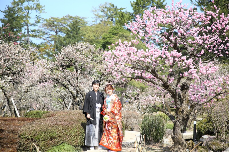 【兼六園、梅林限定プラン】梅林の美しさを魅せる兼六園での和装撮影プラン