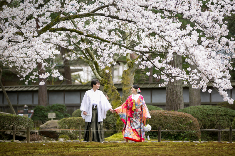 【桜限定ロケーションプラン】ひがし茶屋街と桜の名所百間掘緑地と兼六園と浅野川の桜ロケーション撮影。桜満喫の欲張りプランです！