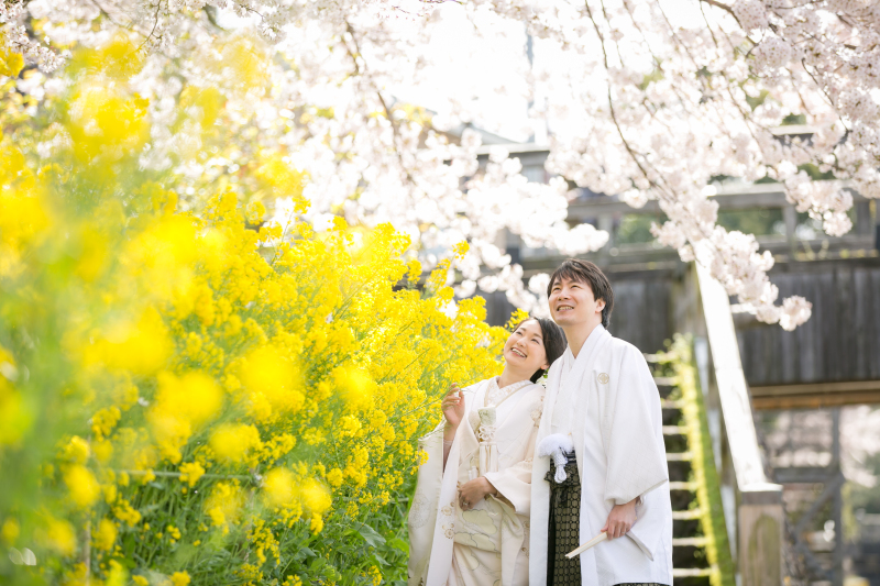 【桜限定ロケーションプラン】ひがし茶屋街と桜の名所百間掘緑地と兼六園と浅野川の桜ロケーション撮影。桜満喫の欲張りプランです！